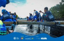 Fotografia horizontal em plano médio-aberto, com ângulo dinâmico. A cena, tirada de dentro de uma canoa, mostra um grupo de cerca de sete jovens remando ativamente. Eles estão voltados para o centro-direita e usam camisetas azuis e coletes salva-vidas escuros com o logo "Pá na Água". Eles manuseiam remos com pás escuras, e o movimento da água é visível, com respingos caindo sobre a canoa e os remadores. As costas e a cabeça do primeiro remador, à esquerda, em uma camiseta azul vibrante e boné escuro, ocupam uma grande parte do primeiro plano. A borda da canoa, com os dizeres "PADDLE CLUB", é visível na parte inferior. A luz é suave, vinda de um céu claro. O fundo é composto por uma densa parede de vegetação de mangue escura.