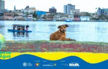 Fotografia horizontal em plano médio. Um cão de porte médio, com pelo castanho-avermelhado e manchas brancas no peito, está deitado sobre a borda superior de um cais ou barco amarelo e enferrujado que ocupa o primeiro plano. O cão está voltado para o centro-esquerda e olha diretamente para a câmera com uma expressão atenta. A água, calma e ligeiramente ondulada, preenche o segundo plano. À esquerda do cão, um pequeno barco escuro, com um toldo preto, flutua na água, transportando algumas pessoas. O plano de fundo é a paisagem urbana de uma cidade litorânea, com uma fileira de casas e edifícios coloridos, de dois e três andares, que se estendem por toda a linha do horizonte. As cores das casas são variadas, incluindo azul-claro, amarelo pálido e marrom, com destaque para a arquitetura antiga. O céu, na parte superior, é claro e suave. A borda do barco ou cais em primeiro plano é amarela escura e vermelha, e a lateral esquerda exibe parte de uma pá verde. Na base, há uma faixa azul com o logo do projeto e os créditos de patrocínio.