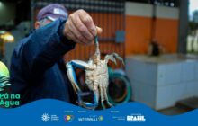 Fotografia horizontal em plano detalhe, com foco manual e nítido no centro. A mão direita de um homem, presumivelmente um pescador ou marisqueiro, segura um caranguejo vivo pelo apêndice traseiro. O caranguejo, de corpo claro e grande, tem patas azuis brilhantes e detalhes em laranja-escuro. A mão do homem, com a pele envelhecida, ocupa o centro superior da imagem e está coberta por uma luva clara. O homem, em segundo plano, veste uma jaqueta azul escura e uma boina cinza ou roxa escura. O fundo é um ambiente interno ou um galpão de mercado de peixes. As cores do fundo são quentes e desfocadas em tons de laranja, branco e esverdeado, em contraste com o azul e o branco do crustáceo em primeiro plano. Um pneu ou roda de bicicleta e uma bancada de mármore branco são vagamente visíveis no fundo, ajudando a contextualizar a cena de trabalho. Na base, há uma faixa azul com o logo do projeto e os créditos de patrocínio.