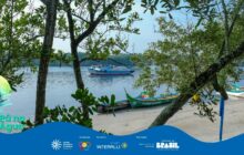 Fotografia horizontal em plano geral, enquadrada por galhos de árvores em primeiro plano nas laterais superior e direita. Os galhos com folhagem verde criam uma moldura natural para o rio calmo e a margem de areia clara. No centro, duas canoas de pesca de madeira estão atracadas na areia. A canoa da esquerda é verde-escura com detalhes em vermelho, e traz o nome "Rainha da Bateria" pintado em amarelo na lateral. Uma segunda canoa branca está parcialmente visível à direita. No segundo plano, uma lancha ou barco de porte médio, de casco branco e cabine azul, navega lentamente no centro do rio. O fundo é dominado por vegetação densa e o céu claro com nuvens esparsas. A cena é tranquila, com iluminação suave de um dia de sol. O rodapé traz a faixa azul do projeto "Pá na Água" com logotipos.