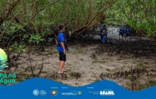 Fotografia horizontal de um manguezal, com foco em uma jovem descalça em primeiro plano. Ela está de perfil, voltada para a direita, no centro-esquerda da composição. Veste camiseta e colete salva-vidas azuis, bermuda preta e carrega uma câmera fotográfica pendurada. A jovem tem cabelos longos e castanhos presos. Ela está sobre um solo lodoso de cor marrom-clara, repleto de raízes aéreas escuras de mangue, conhecidas como pneumatóforos. Ao fundo, no terço direito, em uma área mais escura do manguezal, 3 outros participantes, também de coletes azuis, parecem caminhar ou observar algo perto de um pequeno riacho ou canal. A vegetação densa de mangue ocupa toda a metade superior da imagem, com troncos finos e retorcidos, e folhas verdes escuras, criando uma atmosfera úmida e fechada. A luz é difusa, vinda de cima, e a cena demonstra a exploração do ecossistema local pelos jovens. Na parte inferior, uma faixa azul contém logos e o título "Pá na Água".