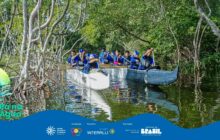 Fotografia horizontal em plano geral, capturando jovens em uma canoa tradicional navegando em um manguezal. A canoa, dividida entre uma seção preta à direita e uma branca à esquerda, é longa e estreita. Aproximadamente 8 jovens, de coletes salva-vidas pretos e bonés e camisas azuis, estão sentados em pares, remando ativamente. O remador mais próximo, à direita, está de costas, com o remo levantado. Os demais ocupantes estão alinhados, olhando para frente ou para os lados. O barco está no centro da cena, deslizando sobre a água escura e calma. À esquerda, em primeiro plano, erguem-se múltiplas raízes aéreas brancas das árvores de mangue, criando uma densa cerca natural. A água escura reflete a vegetação e o barco. O plano de fundo é composto por uma parede densa de folhagem verde escura do manguezal. A luz solar forte entra por cima, clareando o topo da canoa e a folhagem. O ambiente é sombreado e úmido, característico do ecossistema de mangue. Na parte inferior esquerda, em sobreposição, o logo "Pá na Água".