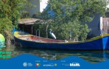 Fotografia horizontal em plano médio, focada em um barco de madeira ancorado em águas calmas. O barco, uma canoa de trabalho tradicional, é longo e flutua no centro da cena. Sua estrutura tem as laterais pintadas de azul marinho intenso na proa e popa, e amarelo forte ao longo da borda superior. O interior da embarcação é escuro e visível. No centro da canoa, uma garça-branca de porte médio está de pé, voltada para a esquerda. A ave tem penas brancas e finas e pescoço alongado, posando elegantemente no interior do barco. A água, em primeiro plano, é escura, quase verde, com reflexos da vegetação. No fundo, a cena é dividida em dois. À esquerda, há bambuzais e vegetação densa, com o telhado baixo e rústico de uma construção. À direita, ergue-se a parede branca de uma casa, com um fragmento de madeira escura ao lado. No centro superior, a copa verde intensa de uma árvore com folhagem espessa sob a luz solar. A iluminação é de um dia claro. Na parte inferior esquerda, a faixa azul com o logo "Pá na Água" está em sobreposição.