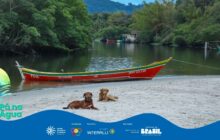 Fotografia horizontal em plano geral, retratando uma cena na margem de um rio. O primeiro plano é uma faixa de areia clara, onde dois cães deitam relaxadamente. O cão à esquerda é de porte médio, de pelo castanho escuro e curto, voltado para a direita. O cão à direita é menor, de pelagem clara e dourada, deitado de lado. No centro da imagem, o elemento principal é um barco de pesca tradicional, vermelho-vivo, com listras amarelas e verdes na borda. O nome "JOÃO VICTOR" está escrito em letras brancas na lateral. O barco está encalhado na areia, com sua proa voltada para a esquerda. A água escura e calma do rio preenche o segundo plano, circundada em ambos os lados por uma mata ciliar densa e verde escura. Ao longe, no centro, há um pequeno cais rústico com construções de madeira e outros barcos menores atracados. No topo, a encosta de uma montanha coberta por mata. A iluminação é suave, de um final de tarde ou início da manhã, criando uma atmosfera serena. Na parte inferior esquerda, em sobreposição, o logo "Pá na Água" aparece.