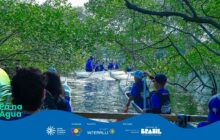 Fotografia horizontal em plano médio, vista de dentro de uma canoa, com foco em um grupo de jovens remadores em um manguezal. A cena é dominada pela vegetação verde escura do mangue, que forma um dossel denso acima da água. Galhos e raízes marrons e ásperas da mata ciliar emolduram a imagem nas laterais e no topo. [PAUSA BREVE] No centro, três canoas brancas, cheias de jovens uniformizados com camisas e bonés azuis e coletes salva-vidas escuros, deslizam sobre a água. Todos estão remando ativamente. [PAUSA BREVE] A canoa em primeiro plano, da qual a foto é tirada, mostra as costas de dois remadores: um jovem de cabelo encaracolado à esquerda e outro com boné azul e camisa azul à direita, este último com o remo erguido. [PAUSA BREVE] A água do rio é escura, com reflexos de luz. No segundo plano, os remadores das outras canoas estão concentrados na atividade, entrando mais profundamente no túnel de vegetação. A iluminação é de um dia claro, mas filtrada pela densa folhagem, criando um ambiente de sombra e aventura. Na parte inferior esquerda, em sobreposição, o logo "Pá na Água" aparece.